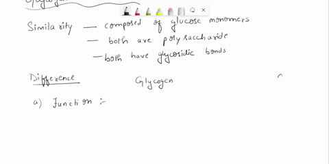 3-how-do-each-pair-of-the-following-molecules-resembleldiffer-from-each-other-a-glycogen-and-cellulose-b-maltose-and-sucrose-c-d-glucose-and-d-fructose-5-marks-00013