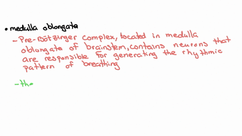 neurons-in-________________________________-act-as-pacemaker-for-inhalation