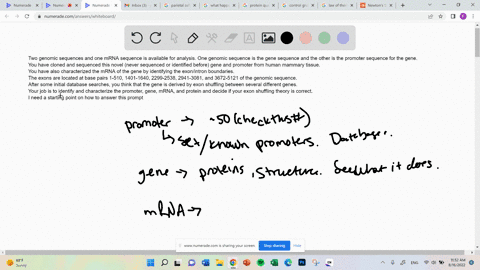 two-genomic-sequences-and-one-mrna-sequence-is-available-for-analysis-one-genomic-sequence-is-the-gene-sequence-and-the-other-is-the-promoter-sequence-for-the-gene-you-have-cloned-and-sequen-66018