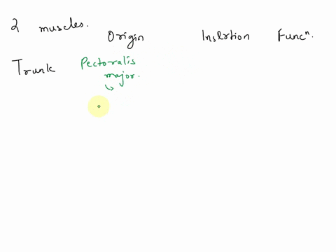 describe-the-following-movements-flexion-extension-abduction-adduction-and-rotation-name-two-muscles-of-the-trunk-and-give-their-origin-insertion-and-function-name-two-muscles-of-the-head-or-51103
