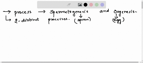 1-compare-and-contrast-the-processes-of-spermatogenesis-and-oogenesis-include-what-is-happening-melodically-as-well-as-to-the-cells-themselves2-starting-with-the-primary-follicle-explain-the-33481