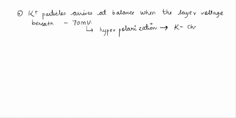 what-is-the-resting-membrane-potential-78421