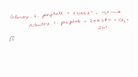 the-net-equation-for-the-oxidative-reactions-of-the-pentose-phosphate-pathway-is-glucose-6-phosphate-2-nadp-ho-ribulose-5-phosphate-2-nadph-coz-2h-select-true-statements-about-the-pentose-ph-80848