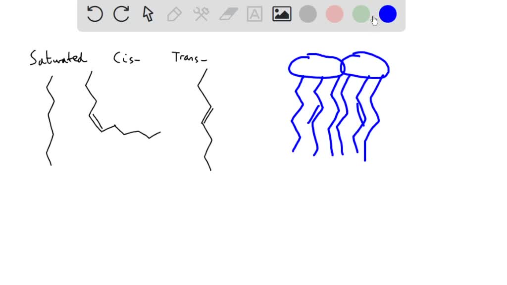 SOLVED 18. Explain the following observations A. Saturated fatty