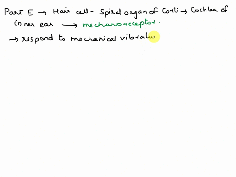 part-e-what-type-of-receptor-is-a-hair-cell-of-spiral-organ-of-corti-in-cochlea-of-inner-ear-photoreceptor-o-mechanoreceptor-chemoreceptor-o-thermoreceptor-o-nociceptor-submit-my-answers-giv-89152