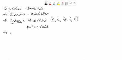 all-proteins-start-with-the-same-amino-acid-because-this-codon-is-the-signal-to-the-ribosome-to-begin-translation-uga-aug-tac-atg-72394