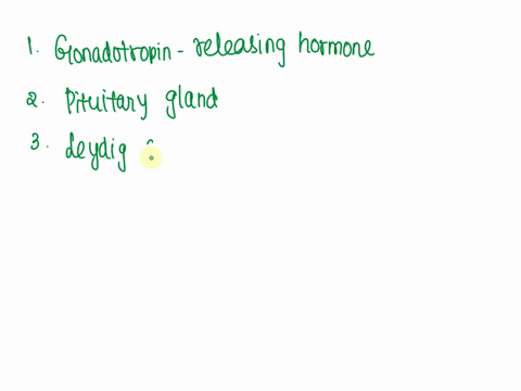 question5-gonadotropin-releasing-hormone-leydig-cells-spermatogenesis-pituitary-sertoll-cells-inhibin-andropause-testosterone-follicle-stimulating-hormone-complete-the-following-statements-u-47875