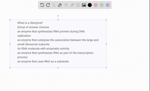 what-is-a-ribozyme-group-of-answer-choices-an-enzyme-that-synthesizes-rna-primers-during-dna-replication-an-enzyme-that-catalyzes-the-association-between-the-large-and-small-ribosomal-subuni-61404