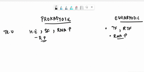 compare-and-contrast-in-detail-stage-i-the-initiation-of-transcription-in-prokaryotes-e-coli-and-in-eukaryotes-you-are-to-list-the-sequential-steps-and-all-transcription-factors-and-or-other-63186