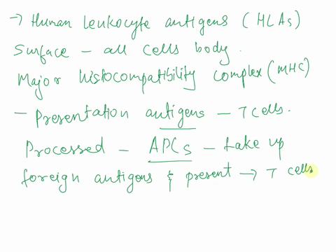 what-are-human-leukocyte-antigens-and-how-are-they-involved-inantigen-processing-and-presentation-73518