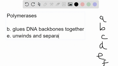 question-31-2-points-which-enzyme-uses-an-rna-template-t0-extend-the-ends-of-a-dna-strand-dna-polymerase-iii-ligase-dna-polymerase-telomerase-helicase-topoisomerase-48523
