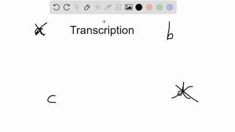 the-transcription-process-in-a-eukaryotic-gene-directly-produces-a-rrna-pre-mrna-mrna-dna-69795