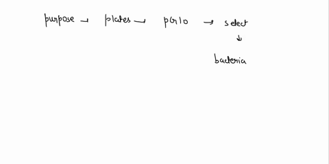 what-is-the-purpose-of-plates-with-ampicillin-in-pglo-experiment-what-is-the-purpose-of-the-arabinose-on-the-plates-on-which-of-the-plates-would-you-expect-to-find-bacteria-most-like-the-ori-48272