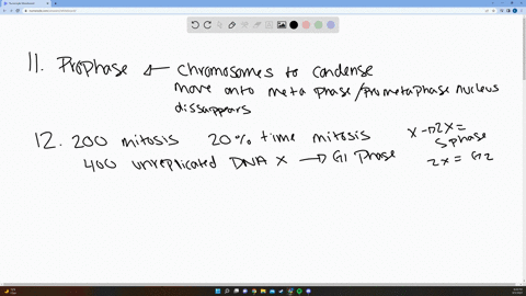 11-the-nucleus-is-intact-during-all-of-a-anaphase-b-prometaphase-c-prophase_-d-metaphase-e-telophase-12-a-population-of-t-cells-has-been-stimulated-to-proliferate-in-response-to-_-particular-37797