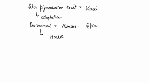 which-factors-were-determined-to-directly-cause-the-loss-of-skin-pigmentation-in-humans-as-a-result-of-natural-selection-the-impact-of-uv-radiation-on-folate-and-vitamin-d-levels-in-human-po-82588