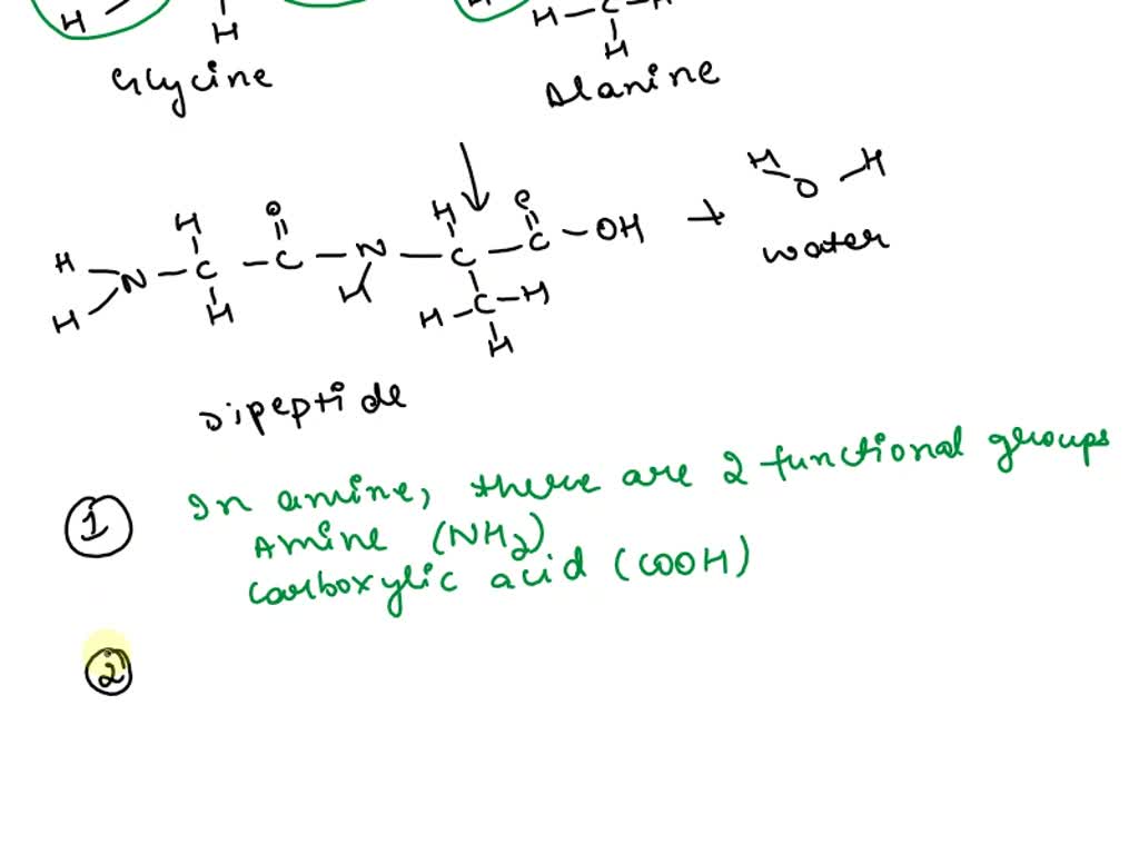 SOLVED Figure 2 Amino acids are joined to form a dipeptide Hx I
