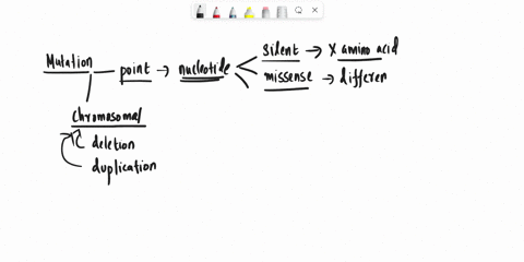 match-the-mutation-with-the-correct-name-not-all-labels-are-used-nonsense-mutation-8-dna-mismatch-mutation-8-88-mutation-silent-mutation-transcribed-codon-missense-mutation-cysteine-amino-ac-77334