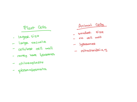 similarities-between-plant-cells-and-animal-cells-and-the-difference-between-plant-cells-and-animal-cells-89623
