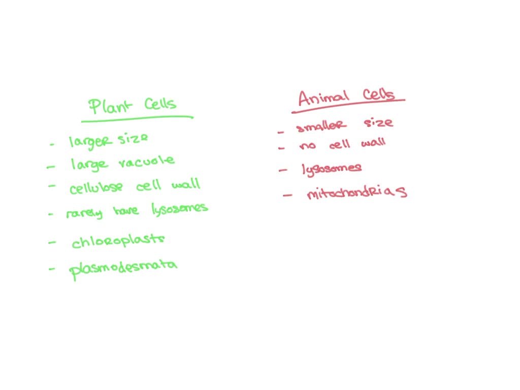 6 similarities between plant and animal cells