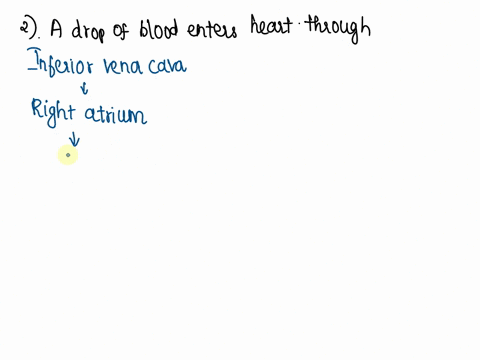 what-is-the-function-of-the-heart-please-trace-a-drop-of-blood-from-the-inferior-vena-cava-ivc-to-the-lungs-and-then-from-the-lungs-to-the-aorta-do-not-forget-to-include-the-valves-43011