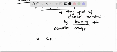 which-of-the-following-is-true-of-enzymes-aenzyme-function-is-increased-if-the-shape-of-an-enzyme-is-changed-benzyme-function-is-independent-of-physical-and-chemical-environmental-factors-su-04967