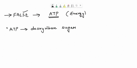 which-of-the-following-statements-is-false-about-atp-atp-comprises-deoxyribose-sugar-phosphate-groups-and-_-nitrogenous-base-atp-can-be-incorporated-into-rna-atp-is-the-most-commonly-used-ac-02892