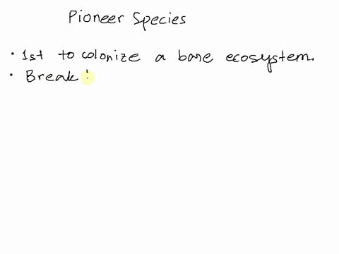 which-of-the-following-are-common-pioneer-species-select-all-that-apply-dogwood-trees-conifer-trees-small-shrubs-lichens-cyanobacteria-52282