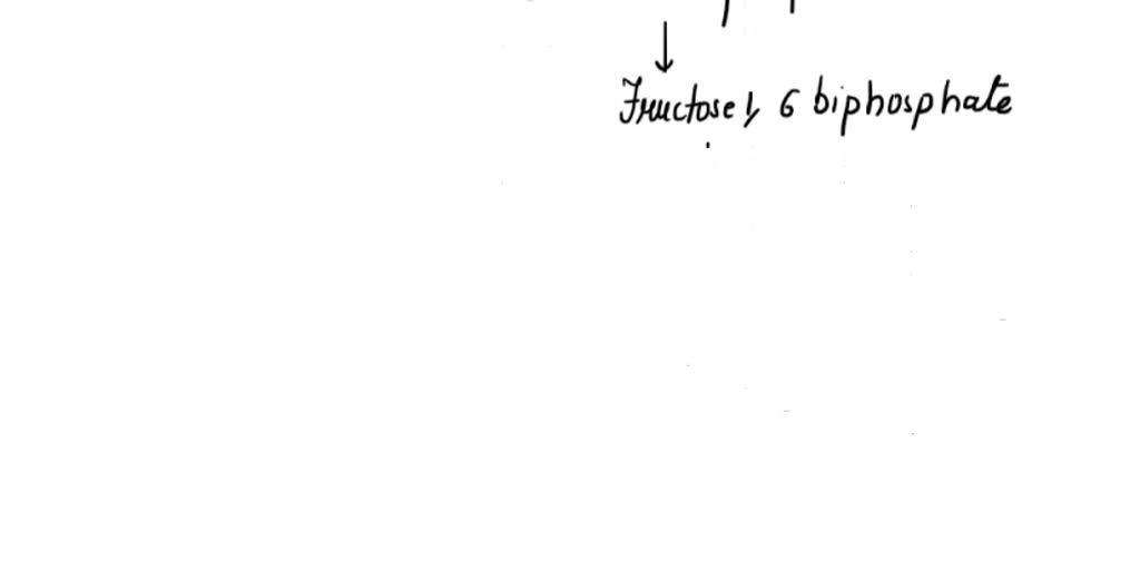 SOLVED Describe the basic differences between the EmbdenMeyerhof