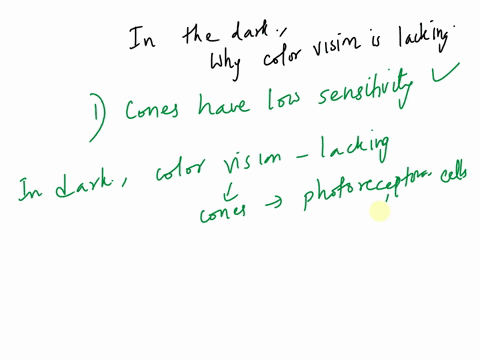 question-5-in-the-dark-why-is-colour-vision-lacking-cones-have-a-low-sensitivity-cones-are-tonic-receptors-that-adapt-slowly-neural-adaptation-limits-information-processing-reduced-visual-pi-35758