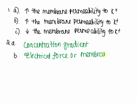 3how-would-the-following-alterations-affect-the-membrane-permeability-to-k-use-arrows-to-indicate-the-change-in-permeability-a-an-increase-in-the-number-of-passive-k-channels-b-opening-of-vo-17237