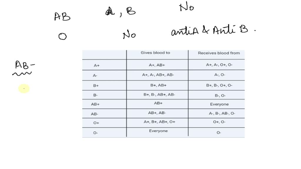 SOLVED: Case Study: John, a patient, has blood type AB. What antigens ...