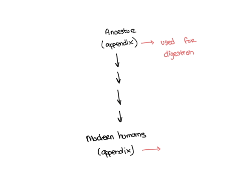 how-can-vestigial-structures-also-be-considered-evidence-for-evolution-94678