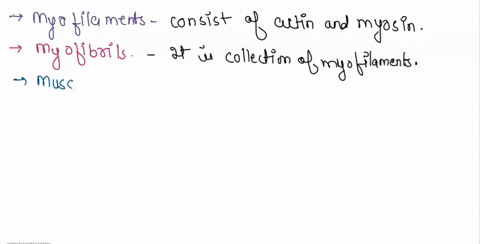 question-42-whch-of-the-followng-gives-the-correct-order-ftoni-large-to-small-musele-fascicle-muscle-cell-myofibril-filaments-muscle-cells-myotibrils-tilaments-sarcoplasm-muscle-muscle-fiber-09941