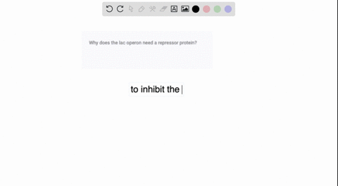 why-does-the-lac-operon-need-a-repressor-protein-14046
