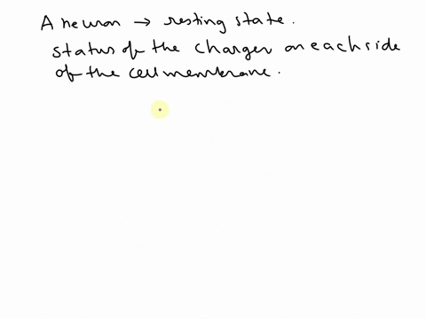 when-a-neuron-is-at-its-resting-state-what-is-the-status-of-the-charges-on-each-side-of-the-cell-membrane-96752