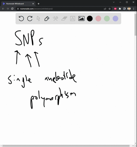 how-could-snps-contribute-to-gene-regulation-formulate-hypotheses-27659