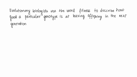what-does-having-a-higher-fitness-mean-in-an-evolutionary-sense-a-individuals-with-certain-genotypes-arer-stronger-or-healthier-than-individuals-with-evolutionary-sense-b-individuals-with-ge-13512