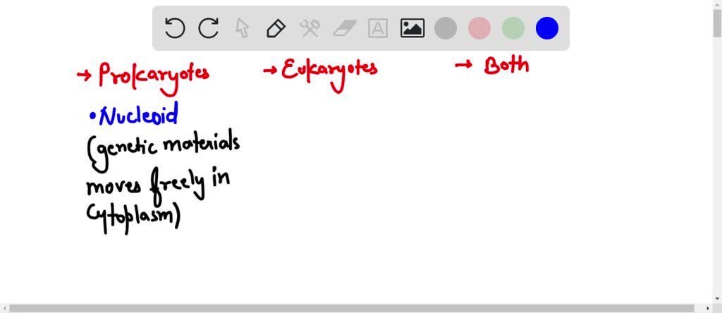 SOLVED: Structure ot Prokaryotic Cell Foundation Figure 4.6 Part B Cell ...