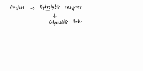 the-enzyme-amylase-can-break-glycosidic-linkages-between-glucose-monomers-only-if-the-monomers-are-3-30522