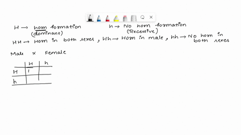 in-sheep-only-male-animals-exhibit-horns-one-of-the-genes-required-for-horn-development-is-designed-h-the-h-allele-is-dominant-and-required-to-make-horns-a-cross-between-a-male-and-female-sh-09892