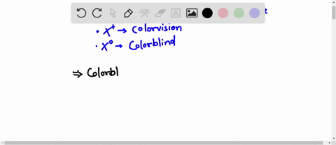 which-individual-below-is-color-blind-color-vision-o-color-blind