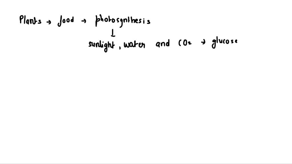 SOLVED Organisms in the Kingdom Fungi do not make their own food like