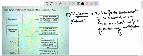 match-the-following-terms-with-the-statement-that-best-describes-them-this-term-refers-t0-a-microbe-establishing-itself-and-multiplying-on-a-body-surace_-colonization-this-term-refers-to-a-m-50594