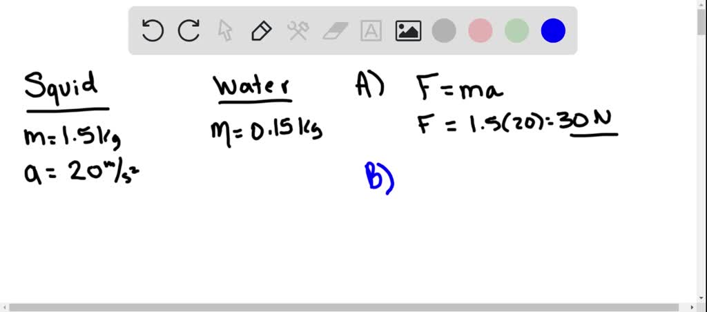 squids-characteristics-properties-types-and-more