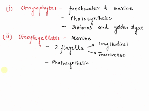 describe-and-explain-the-diversity-of-the-members-of-the-protista-kingdom-according-to-the-distinctive-characteristics-of-each-group-70903