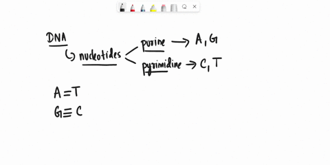 when-you-increase-the-temperature-of-a-solution-with-dna-the-strands-eventually-separates-which-piece-of-dna-would-require-more-heat-to-separate-its-strands-a-200-base-pairs-with-40-gc-and-6-15739