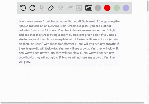 you-transform-an-e-coli-bacterium-with-the-pglo-plasmid-after-growing-the-pglo-bacteria-on-an-lbampicillinarabinose-plate-you-see-distinct-colonies-form-after-16-hours-you-check-these-coloni-94945