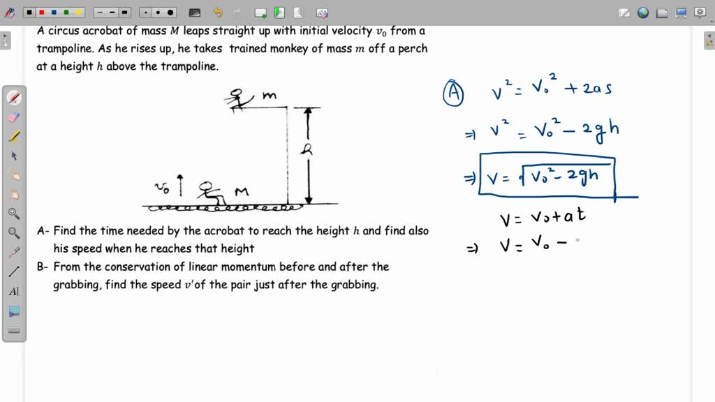 SOLVED: A circus acrobat of mass M leaps straight up with an initial ...