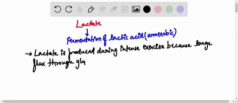 what-is-the-reason-active-skeletal-muscle-forms-lactate-through-lactic-acid-fermentation-skeletal-muscles-dont-have-enough-time-to-relax-b-lactic-acid-is-an-unstable-acid-c-the-level-of-gluc-18257