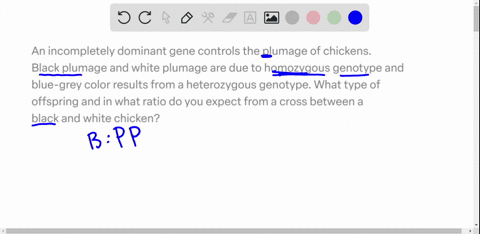 an-incompletely-dominant-gene-controls-the-plumage-of-chickens-black-plumage-and-white-plumage-are-due-to-homozygous-genotype-and-blue-grey-color-results-from-a-heterozygous-genotype-what-ty-04524